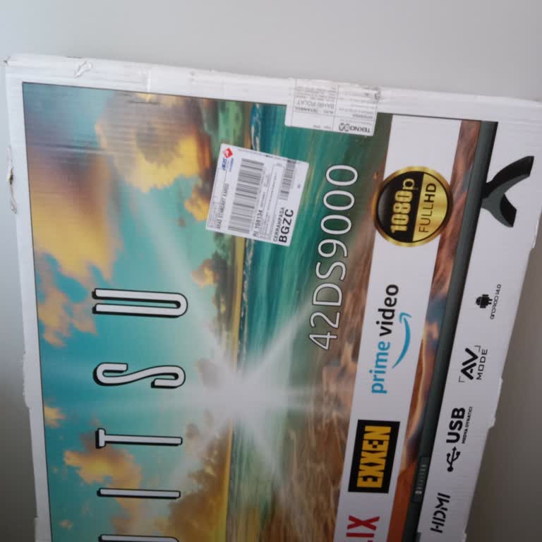 TV Kurulumunda Hatalı Kayıt Ve İlgisiz Servis Nedeniyle Mağduriyet Yaşadım