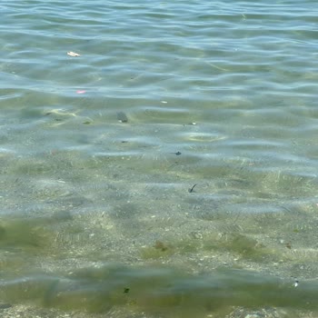 Beltur Caddebostan Plajında Yetersiz Temizlik Ve Altyapı Sorunları