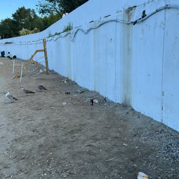 Beltur Caddebostan Plajında Yetersiz Temizlik Ve Altyapı Sorunları