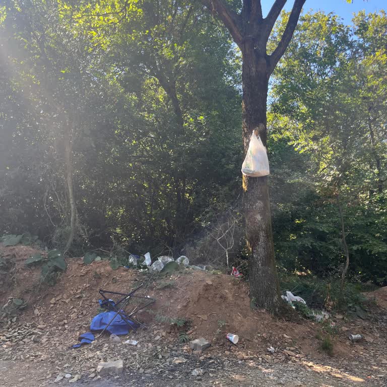 Yüksek Giriş Ücreti Ve Temizlik Sorunları