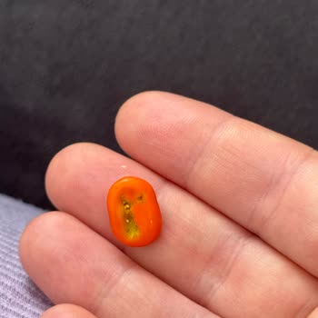 Çocuğumun Tüketmek Üzere Olduğu Üründe Kurt Çıkması