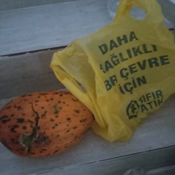 Şok Marketler Çürük Kavun İçin İade Sürecinde Yaşanan İlgisizlik Ve Müşteri Mağduriyeti