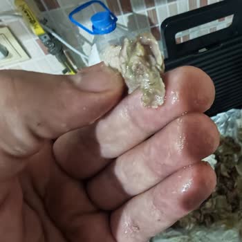 Migros Sanal Marketten Gelen Etlerde Bozukluk Ve Çift Etiket Şaşkınlığı