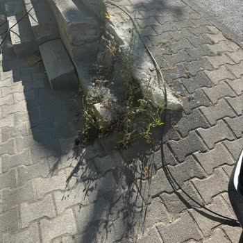 Türk Telekom Yetkilisi Kabloları Kapıma Atıp Alanımı Kirletti