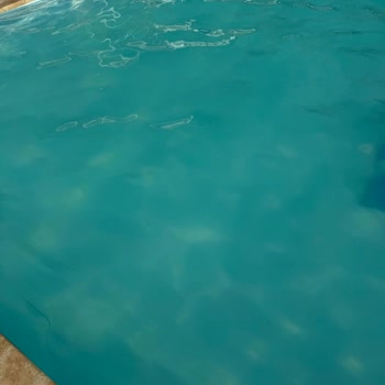 Hayal Kırıklığıyla Başlayan Tatil: Güvenlik Ve Hijyen Sorunları, Eksik Hizmetler