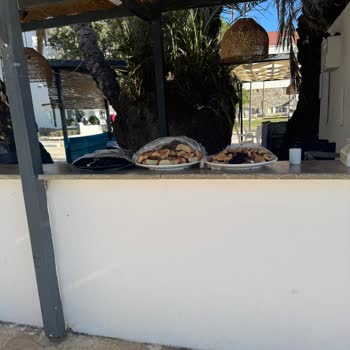 Hayal Kırıklığıyla Başlayan Tatil: Güvenlik Ve Hijyen Sorunları, Eksik Hizmetler