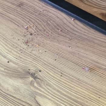 Roborock Qrevo L Süpürge Temizlik Yapmıyor, Sorun Çözülmüyor!