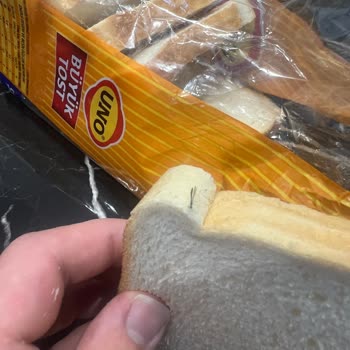 UNO Tost Ekmeğinde Sivrisinek Şoku Yaşadım