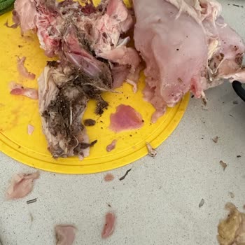 Yelpi Tavukçuluk Ürününde Yaşanan Sorun!