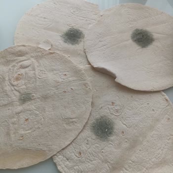 Tarihi Geçmemiş UNO Ekmekten Ağır Karın Ağrısı Ve Mide Bulantısı Yaşadım