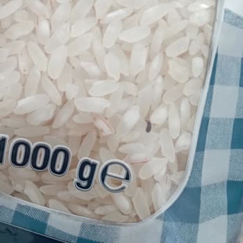 Kapalı Pirinç Paketinde Canlı Böcek Buldum, Hijyen Ve Güvenim Sarsıldı