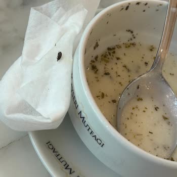 Çorbanın İçinden Böcek Çıkması Nedeniyle Hayal Kırıklığı