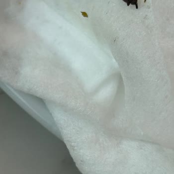 Çorbanın İçinden Böcek Çıkması Nedeniyle Hayal Kırıklığı