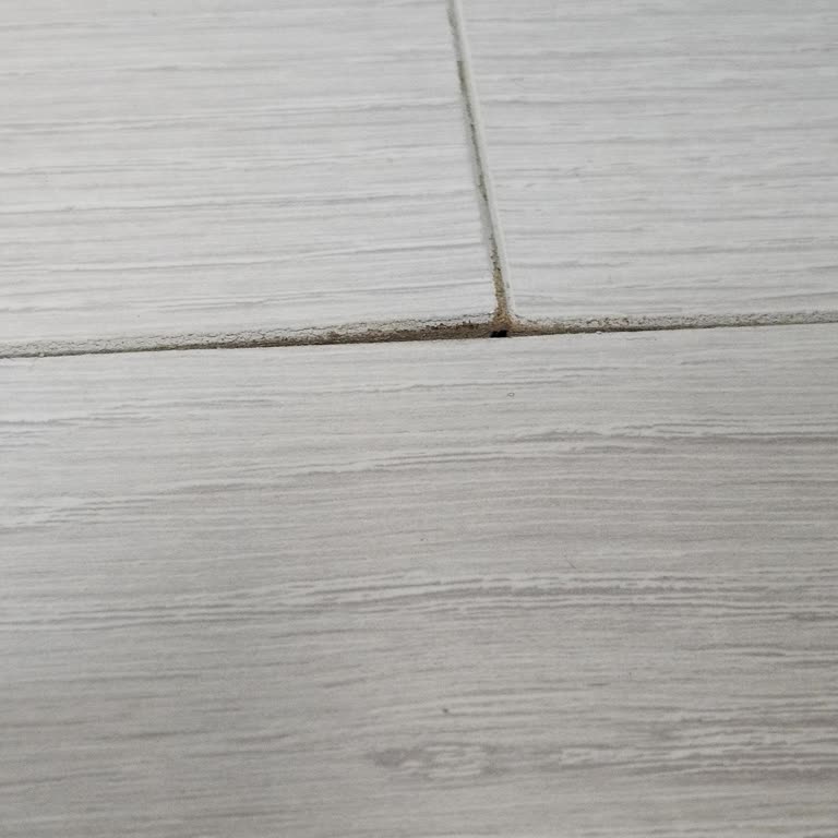 Yeni Döşenen Parkede Şişme Ve Kabarma Sorunu