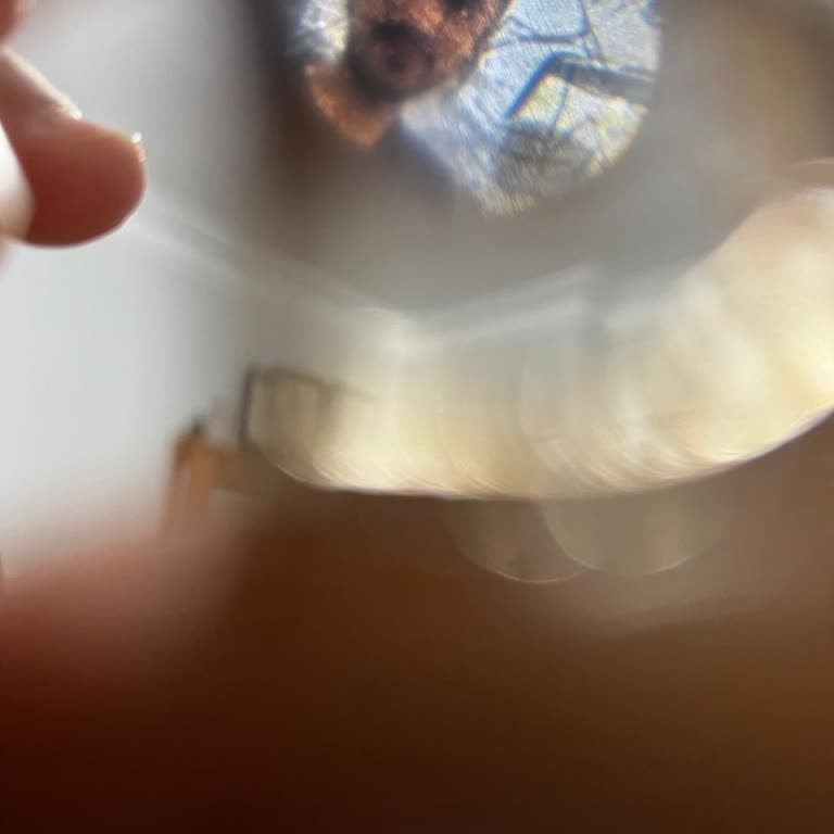 Siparişimdeki Hatalı Ürün Ve Sürekli Oyalama