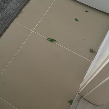 Açılmamış Soda Şişesi Patladı, Evde Büyük Tehlike Yaşadım