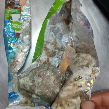 Algida Aldığım Dondurmanın Bozuk Çıkması Ve Kötü Kokusu