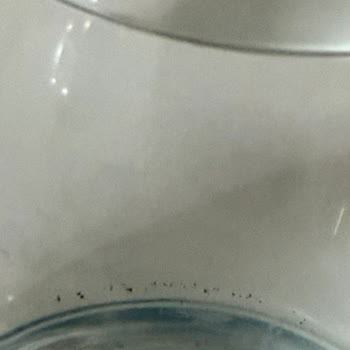 Güvenilir Sandığım Suda Şok Eden Kum Sorunu