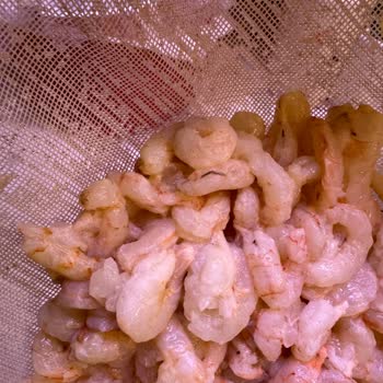 Aldığım Karides Taze Değildi, Çöpe Atmak Zorunda Kaldım