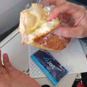 Uçuşta Buzlu Yemek Ve Eksik Para Üstü Mağduriyeti Yaşadık
