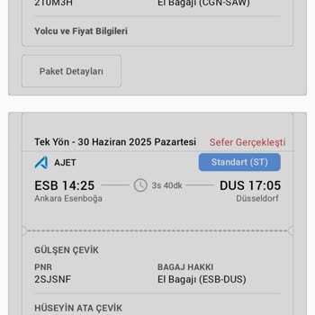 Uçuşta Buzlu Yemek Ve Eksik Para Üstü Mağduriyeti Yaşadık