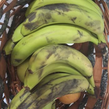 Bozüyük Migros'tan Aldığım Muzun Kötü Durumu Ve Personel İlgisizliği