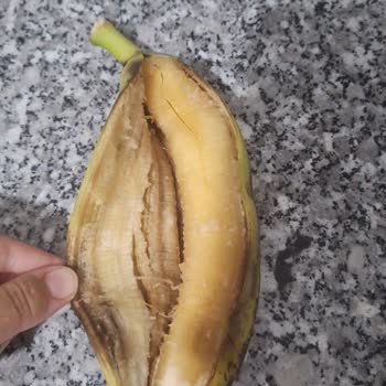 Bozüyük Migros'tan Aldığım Muzun Kötü Durumu Ve Personel İlgisizliği