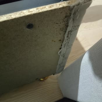 Satın Aldığım Bazalı Yatakta Tahta Kurusu Sorunu Ve Sağlık Problemleri