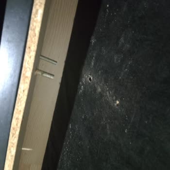 Satın Aldığım Bazalı Yatakta Tahta Kurusu Sorunu Ve Sağlık Problemleri