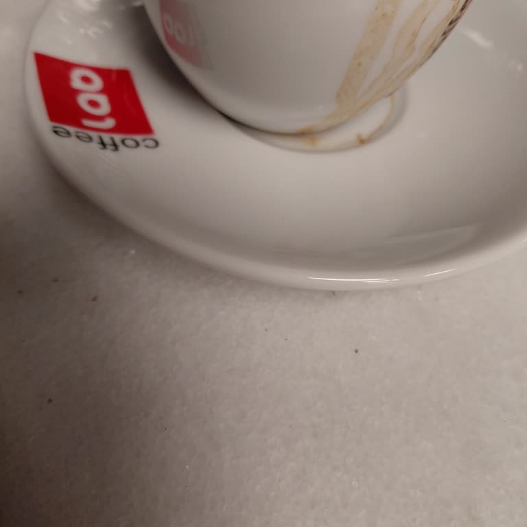 Coffee Lab Kahveler Buz Gibiydi