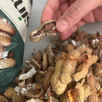 Aldığım Kabuklu Fıstıkların Kalitesi Hayal Kırıklığı Yarattı