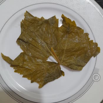 Fatma'nın Bahçesi Aldığım Yapraklar Beklediğim Gibi Çıkmadı Satıcıdan Dönüş Alamadım