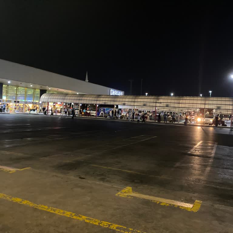 Buzlu Firması İle Yaşadığımız Ulaşım Mağduriyeti