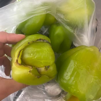 Çürük Ürün Gönderimi Ve Müşteri Hizmetlerinden Yanıt Alamama