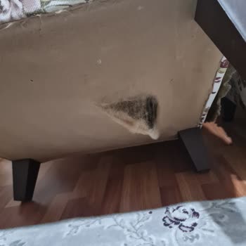 Taşınma Sürecinde Anlaşmaya Uyulmaması Ve Eşyaların Zarar Görmesi