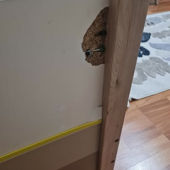 Taşınma Sürecinde Anlaşmaya Uyulmaması Ve Eşyaların Zarar Görmesi