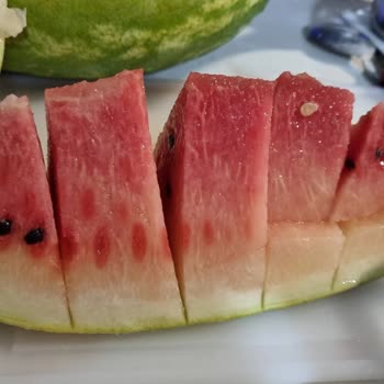 Getir'den Aldığım Karpuz Bozuk Çıktı, İade Talebim Reddedildi