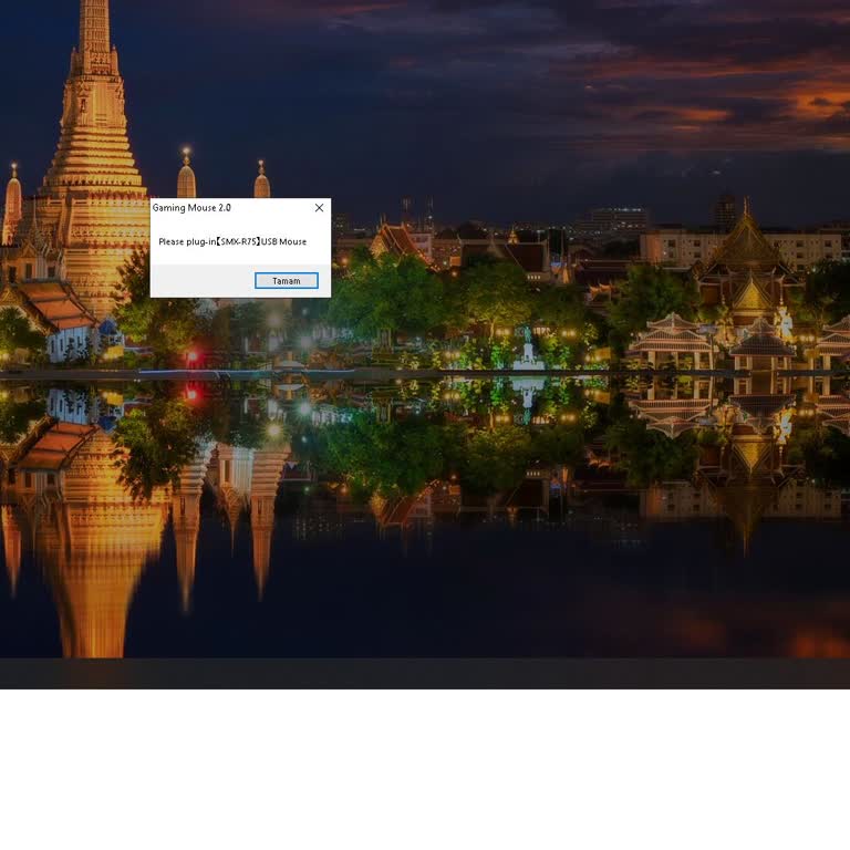 Rampage Striker SMX 75 Mouse'un Sürücü Sorunu Ve Kullanılamaması