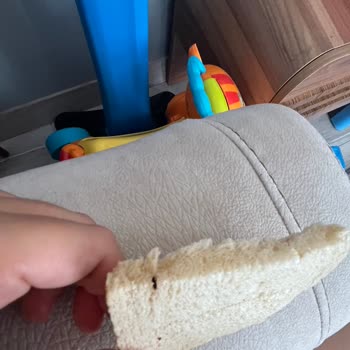 Tost Ekmeğinde Böcek Şoku: Hijyen Sorunu