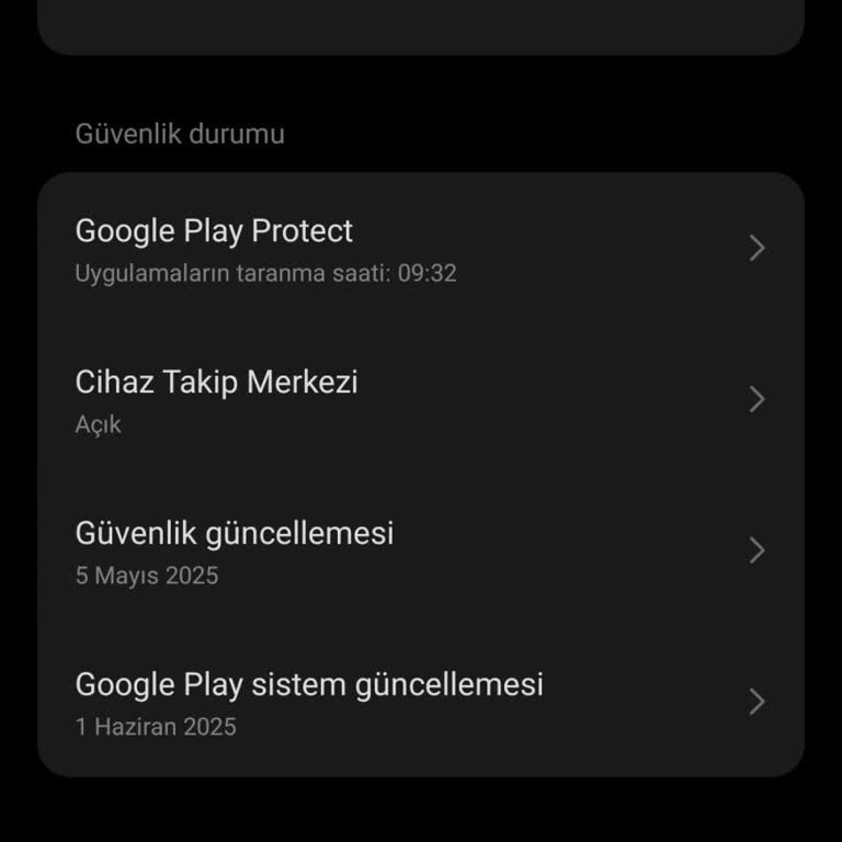 Parmak İzi Kayboldu, Uygulamalara Erişemiyorum