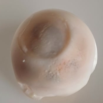 Migros Aldığım Organik Yumurtalarda Bozuk Ve Kokulu Ürünlerle Karşılaştım