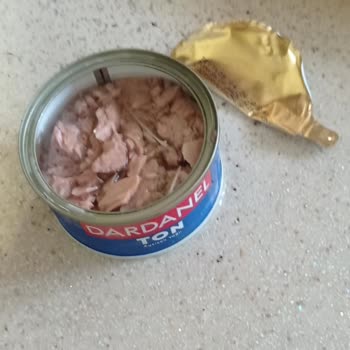 Ton Balığında Çıkan Büyük Kılçıklar Şaşırttı