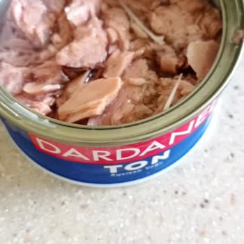 Ton Balığında Çıkan Büyük Kılçıklar Şaşırttı