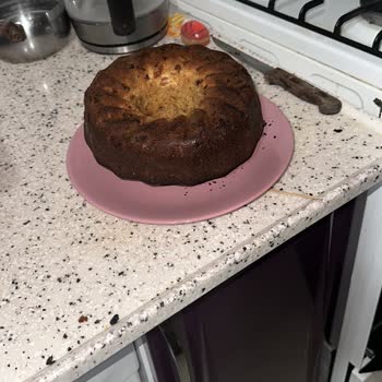 Dyson Dikey Süpürge Ayağı Sorunum 2 Yıldır Çözülmedi