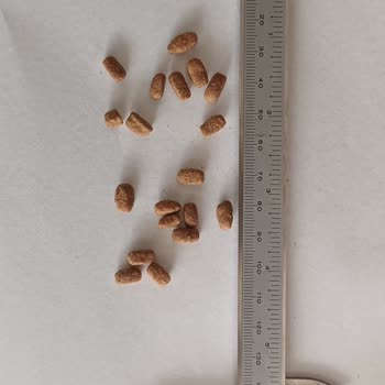 Sahte Mama Satışı Ve İade Reddi: Hepsiburada Sorumluluktan Kaçıyor!