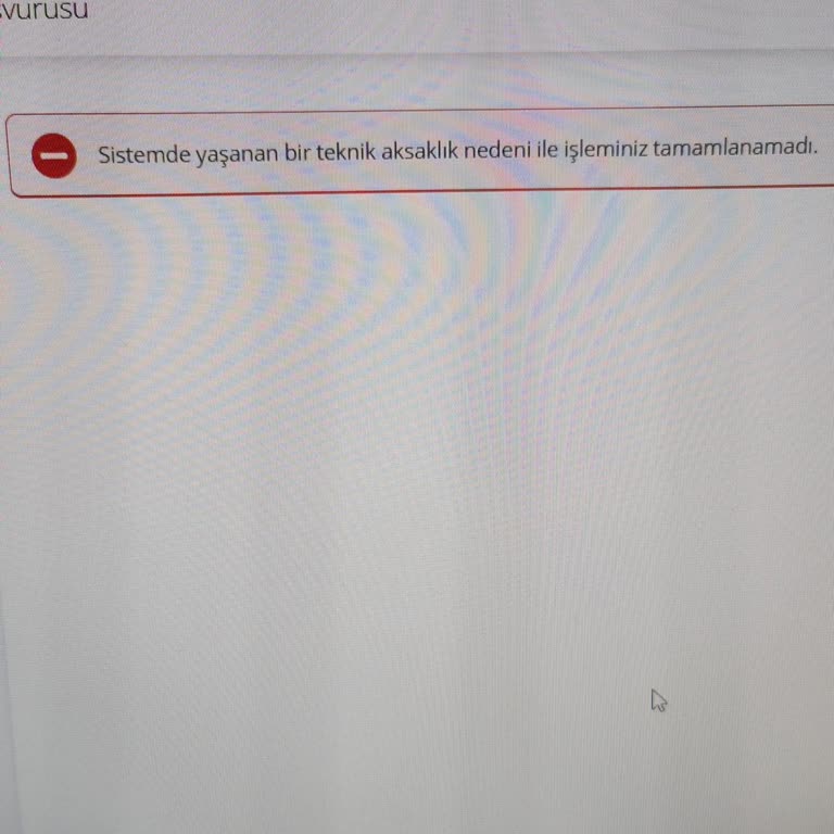Elektrik Aboneliği Sürecinde Yaşanan Teknik Sorunlar Ve Mağduriyet