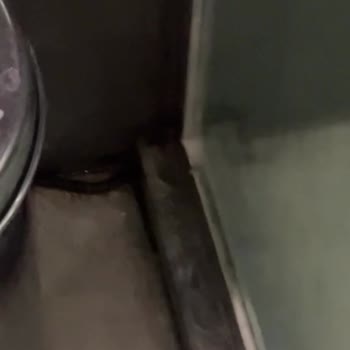 Oda Hijyeni Ve Kadınlar Plajında Mağduriyet Yaşadık