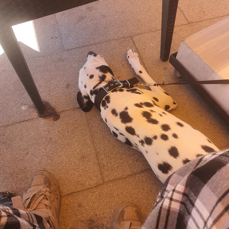 Beltur Çeşme Suyuna Para Alınması Şaşkınlığı!