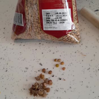 Yerinden Bakliyat Böcekli Ürünü Nasıl Olur Da Raflara Koyup Satabilirler?