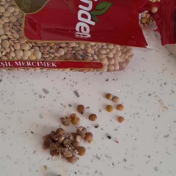 Yerinden Bakliyat Böcekli Ürünü Nasıl Olur Da Raflara Koyup Satabilirler?